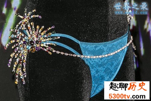 世界上最昂贵的胸罩，最美的肉体(1000万美元)