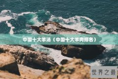 中国十大羊汤（中国十大羊肉排名）