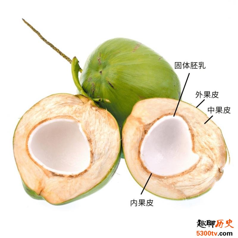 生椰拿铁的“生椰”是什么