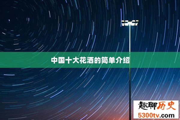 中国十大花洒的简单介绍