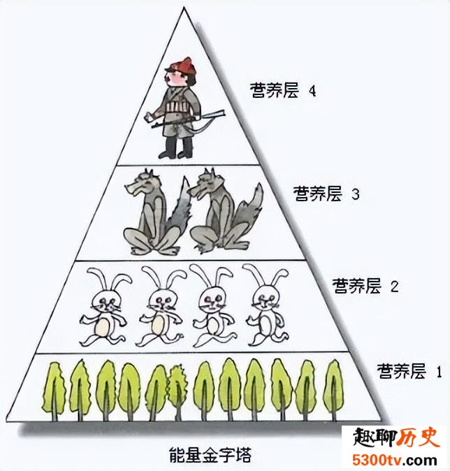比起蔬菜 为什么大部分人更喜欢吃肉