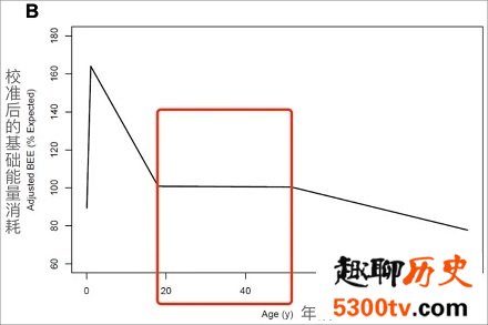 中年发福长胖的主要原因是什么