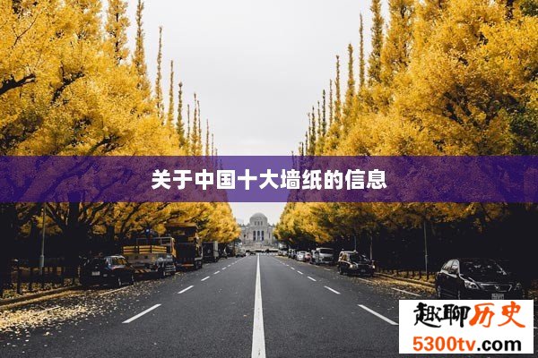 关于中国十大墙纸的信息