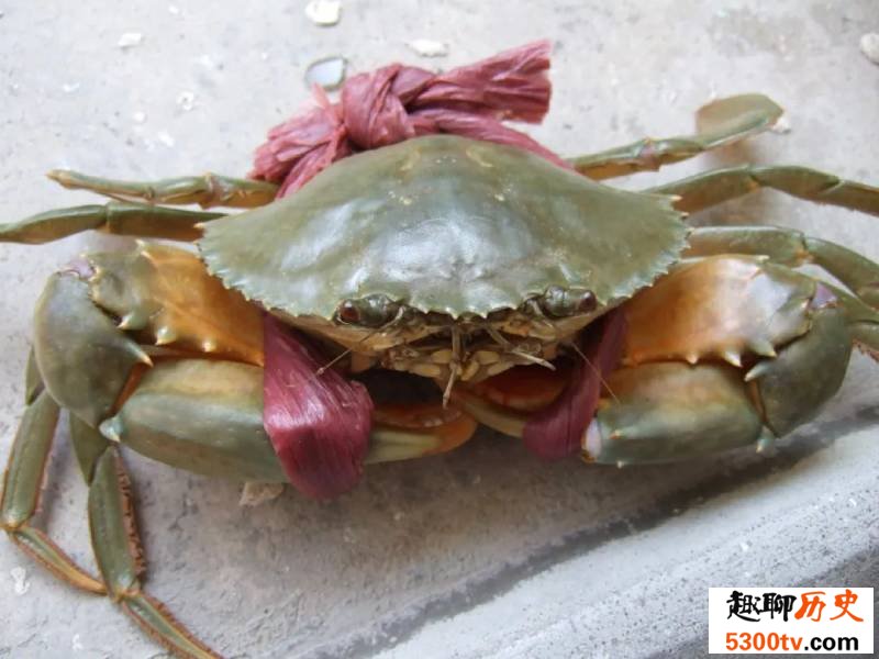 死螃蟹不能吃 为什么超市里还卖冰冻螃蟹