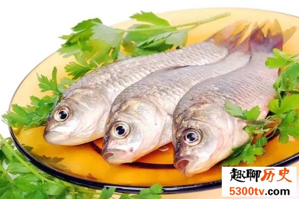 什么时候的鱼肉最好吃