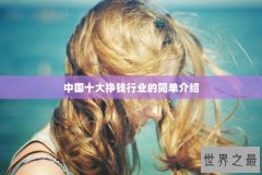 中国十大挣钱行业的简单介绍