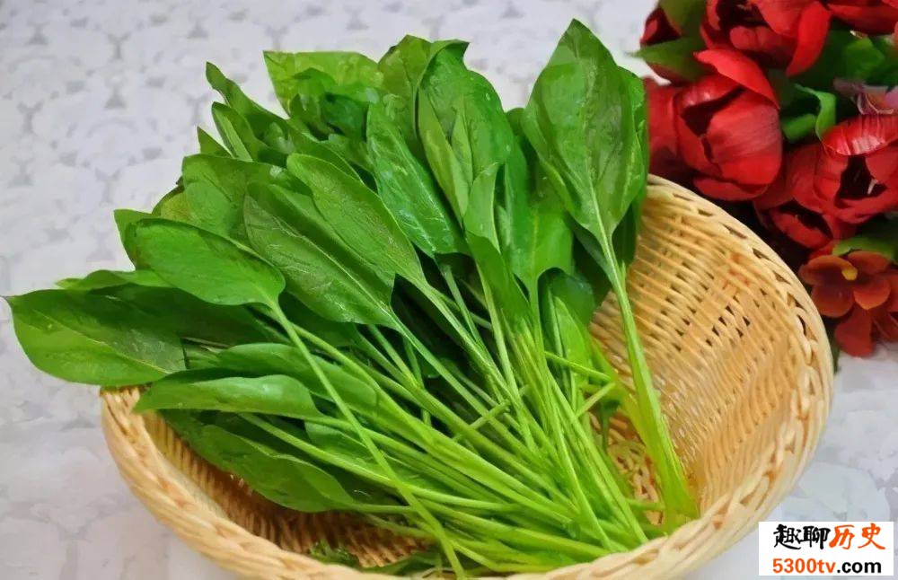 为什么有的菠菜好吃有的涩