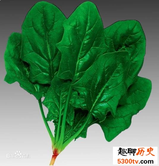 为什么有的菠菜好吃有的涩