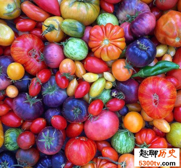 绿色对人的好处几乎都是假的
