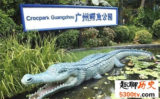 鳄鱼公园已改名飞鸟公园，位于广州长隆主题公园