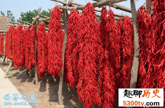 世界上最大的辣椒，长达34.4厘米