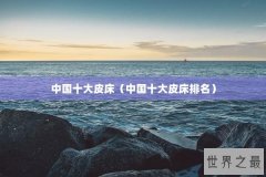 中国十大皮床（中国十大皮床排名）