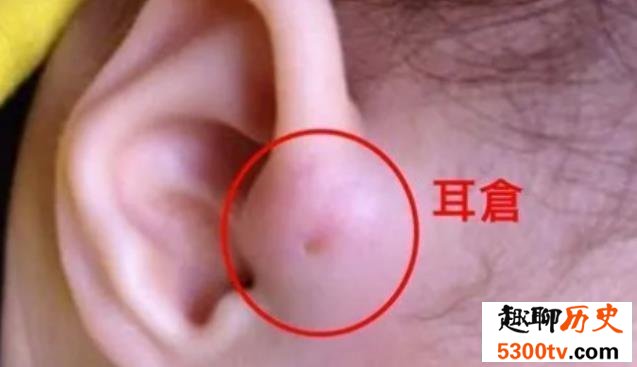耳仓