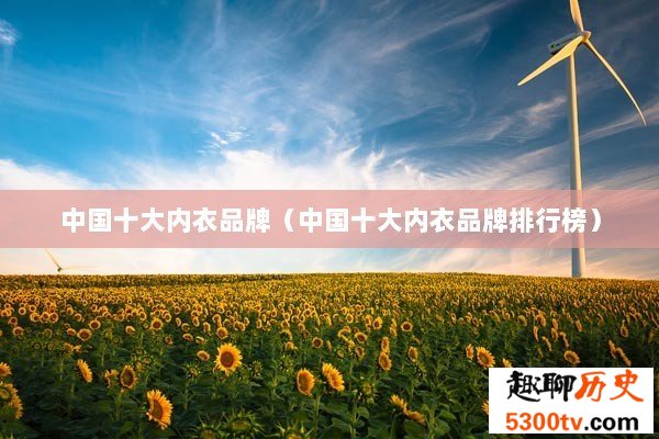 中国十大内衣品牌（中国十大内衣品牌排行榜）