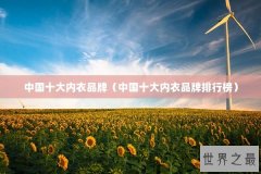中国十大内衣品牌（中国十大内衣品牌排行榜）