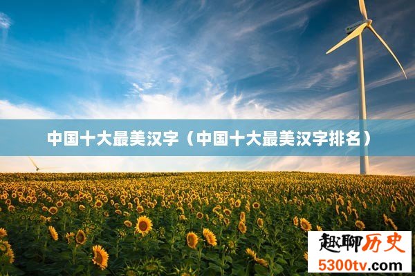 中国十大最美汉字（中国十大最美汉字排名）