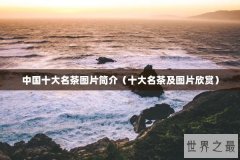 中国十大名茶图片简介（十大名茶及图片欣赏）
