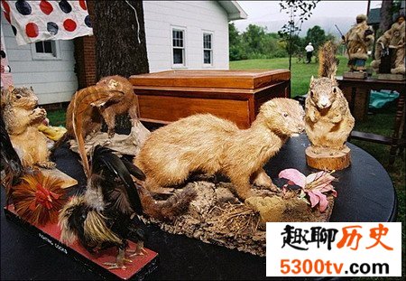 世界上最长的跳蚤市场