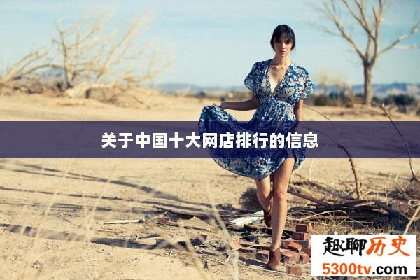 关于中国十大网店排行的信息