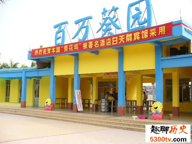 世界上最大的葵园