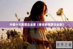 中国十大民营企业家（著名的民营企业家