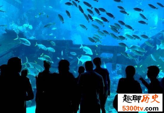 世界最大室内海洋展馆，永泰海洋极地世界(耗资10亿)