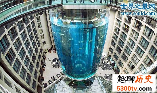 世界上最奇特的电梯，建在巨型鱼缸中的电梯