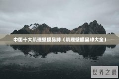 中国十大肌理壁膜品牌（肌理壁膜品牌大全）