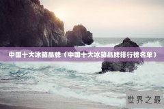 中国十大冰箱品牌（中国十大冰箱品牌排行榜名单）
