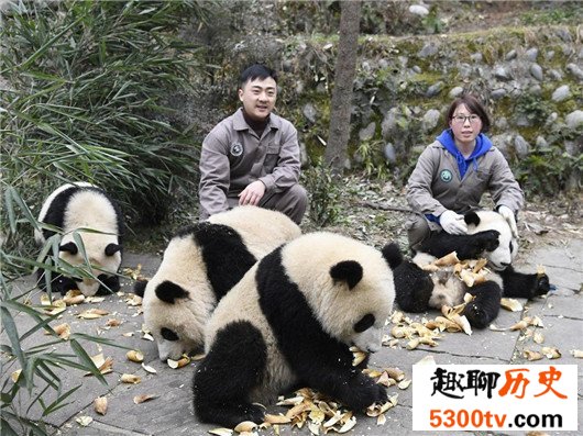 世界十大幸福职业排名，想免费吃尽天下美食吗？