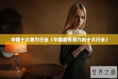 中国十大潜力行业（中国最有潜力的十大行业）