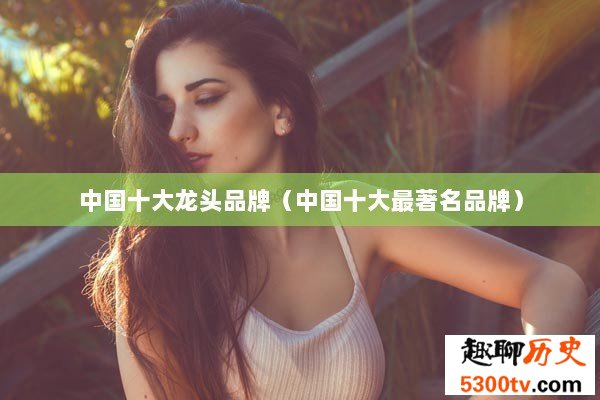 中国十大龙头品牌（中国十大最著名品牌）