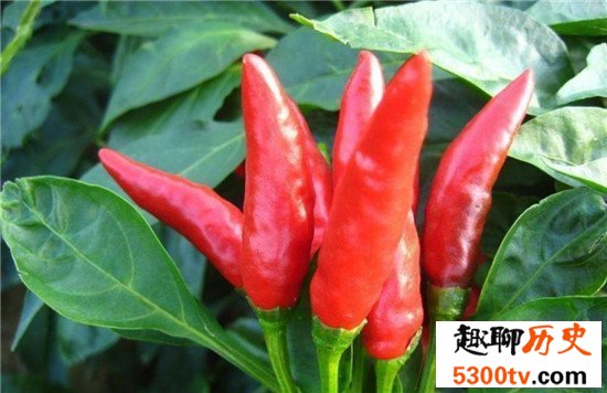 世界上最辣的辣椒TOP10,这种辣椒以死神为名！