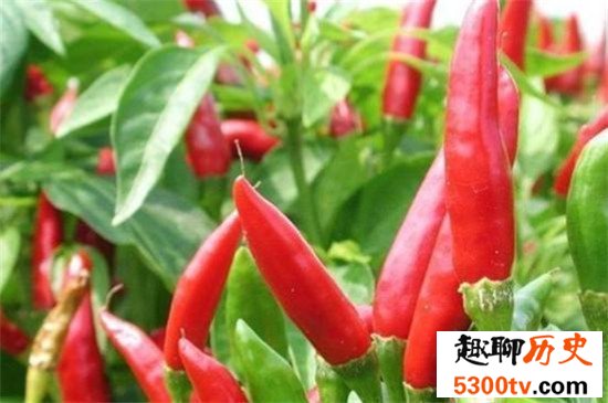 世界上最辣的辣椒TOP10,这种辣椒以死神为名！