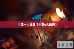 中国十大姓氏（中国6大姓氏）