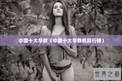 中国十大早教（中国十大早教机排行榜）
