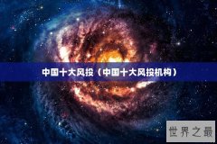 中国十大风投（中国十大风投机构）