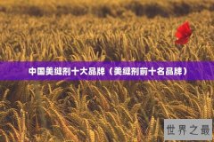 中国美缝剂十大品牌（美缝剂前十名品牌）