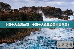 中国十大食品公司（中国十大食品公司排名华美）