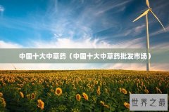 中国十大中草药（中国十大中草药批发市场）