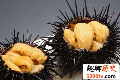 世界上最酷的十种多刺动物，人们都想饲养它。