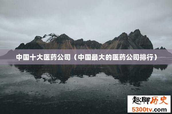 中国十大医药公司（中国最大的医药公司排行）