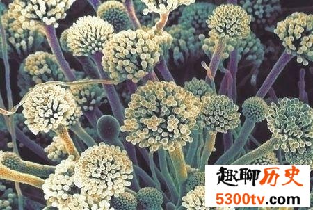 世界上最危险的10种细菌，第二种就在人体内！