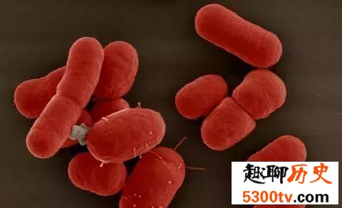 世界上最危险的10种细菌，第二种就在人体内！