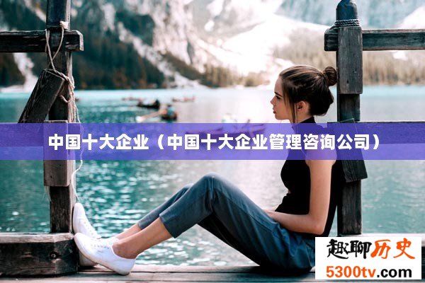 中国十大企业（中国十大企业管理咨询公司）