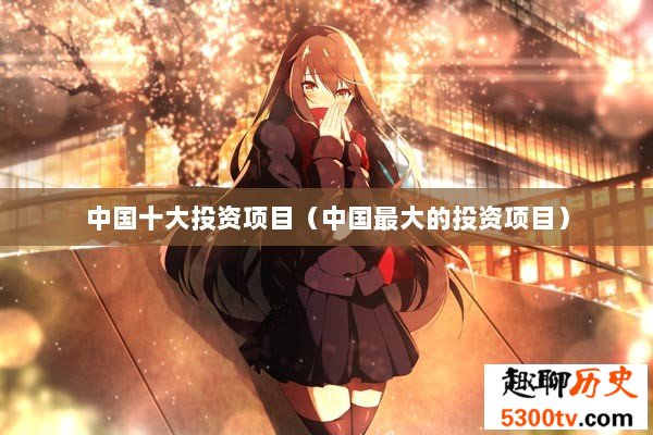 中国十大投资项目（中国最大的投资项目）
