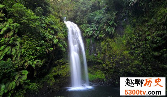 世界野生动物园排名，马迪迪国家公园超好看