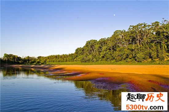 世界野生动物园排名，马迪迪国家公园超好看