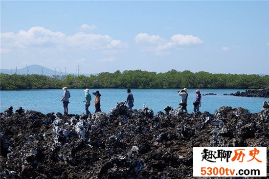 世界野生动物园排名，马迪迪国家公园超好看