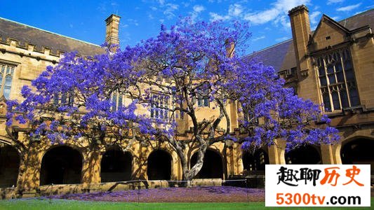 世界十大教育强国，美英中位列前三甲